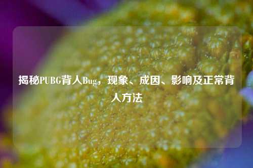 揭秘PUBG背人Bug,现象、成因、影响及正常背人方法