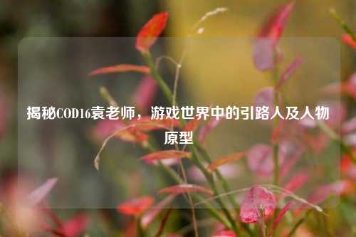 揭秘COD16袁老师,游戏世界中的引路人及人物原型