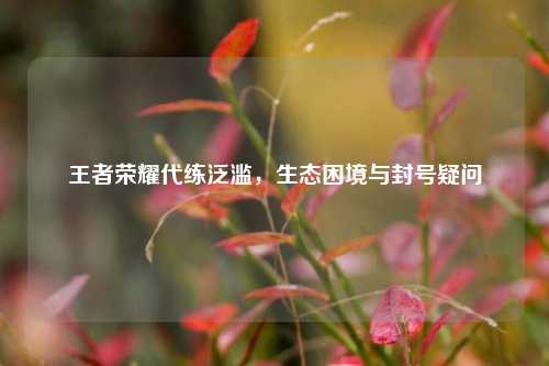 王者荣耀代练泛滥,生态困境与封号疑问