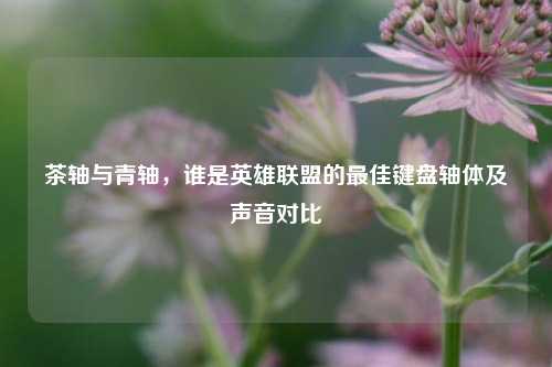 茶轴与青轴,谁是英雄联盟的最佳键盘轴体及声音对比