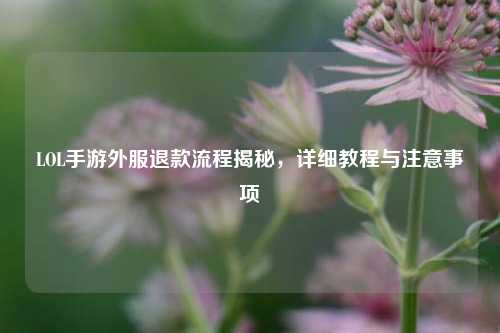 LOL手游外服退款流程揭秘,详细教程与注意事项