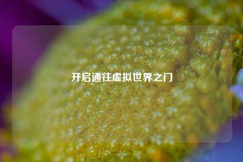 开启通往虚拟世界之门