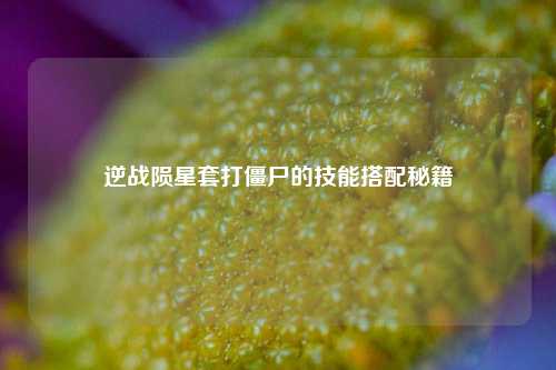逆战陨星套打僵尸的技能搭配秘籍