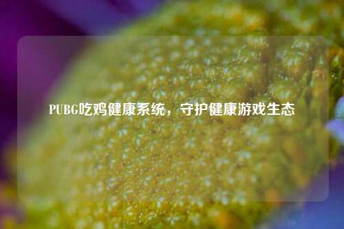 PUBG吃鸡健康系统，守护健康游戏生态