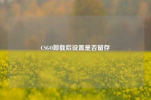 CSGO卸载后设置是否留存