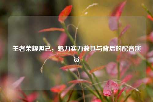 王者荣耀妲己,魅力实力兼具与背后的配音演员