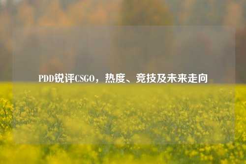 PDD锐评CSGO,热度、竞技及未来走向