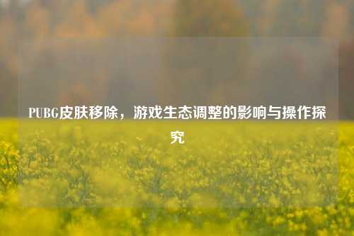 PUBG皮肤移除，游戏生态调整的影响与操作探究