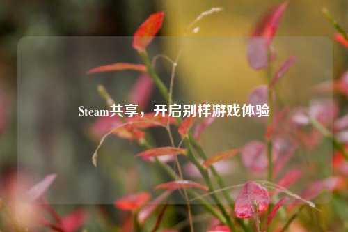 Steam共享，开启别样游戏体验
