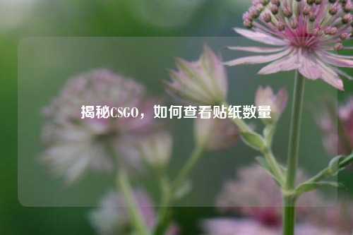 揭秘CSGO,如何查看贴纸数量