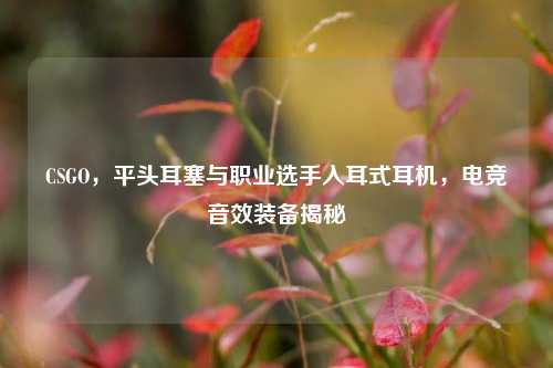 CSGO,平头耳塞与职业选手入耳式耳机,电竞音效装备揭秘