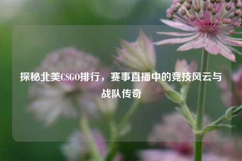 探秘北美CSGO排行，赛事直播中的竞技风云与战队传奇