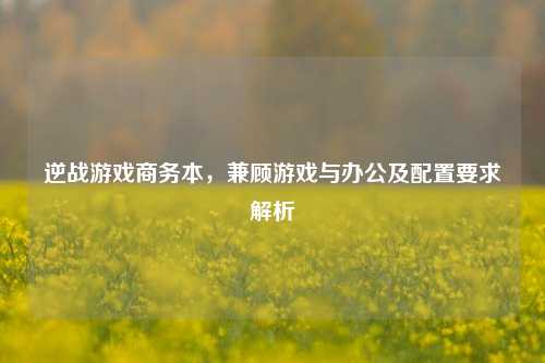 逆战游戏商务本,兼顾游戏与办公及配置要求解析