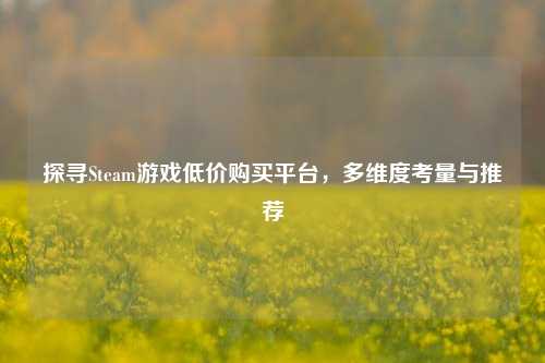 探寻Steam游戏低价购买平台,多维度考量与推荐