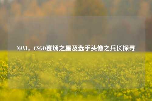 NAVI,CSGO赛场之星及选手头像之兵长探寻