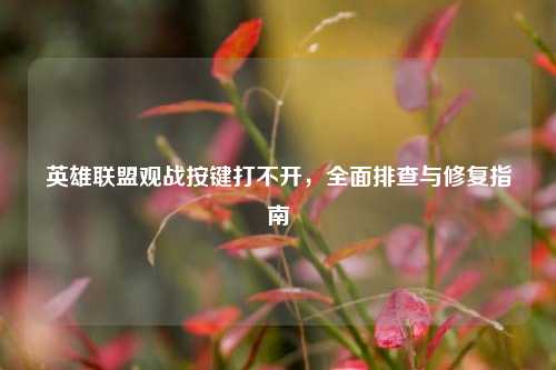 英雄联盟观战按键打不开,全面排查与修复指南