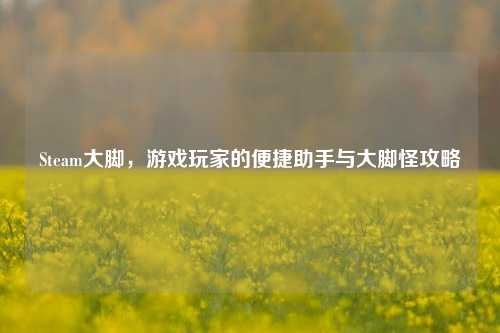 Steam大脚，游戏玩家的便捷助手与大脚怪攻略