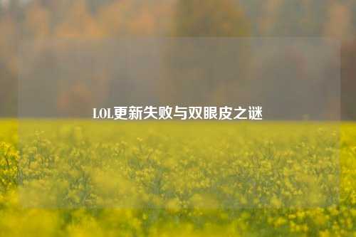 LOL更新失败与双眼皮之谜