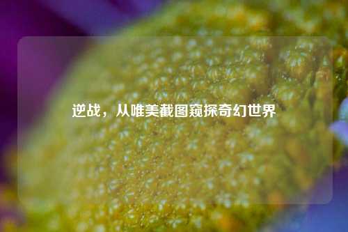 逆战,从唯美截图窥探奇幻世界