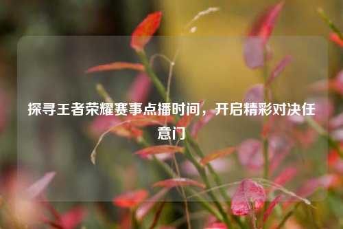 探寻王者荣耀赛事点播时间,开启精彩对决任意门