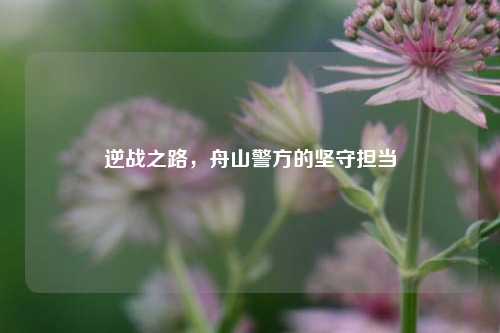 逆战之路,舟山警方的坚守担当