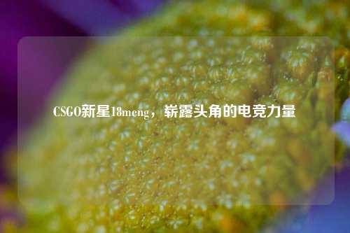 CSGO新星18meng，崭露头角的电竞力量
