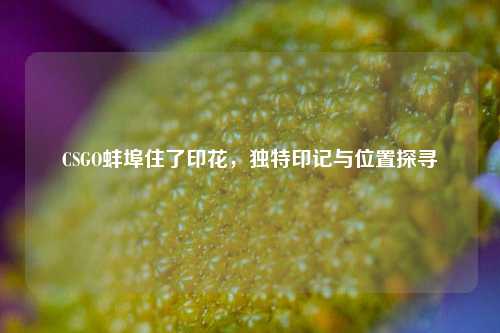 CSGO蚌埠住了印花,独特印记与位置探寻