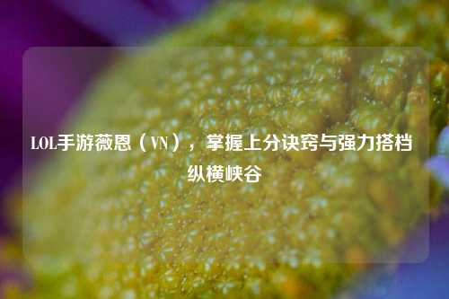 LOL手游薇恩（VN），掌握上分诀窍与强力搭档 纵横峡谷