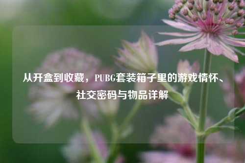 从开盒到收藏,PUBG套装箱子里的游戏情怀、社交密码与物品详解