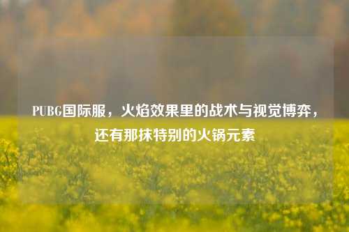 PUBG国际服，火焰效果里的战术与视觉博弈，还有那抹特别的火锅元素