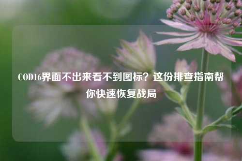 COD16界面不出来看不到图标?这份排查指南帮你快速恢复战局