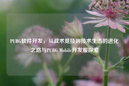 PUBG软件开发,从战术竞技到技术生态的进化之路与PUBG Mobile开发服探索