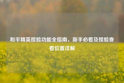 和平精英捏脸功能全指南，新手必看及捏脸查看位置详解