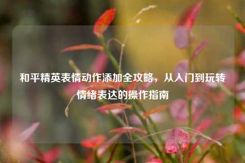 和平精英表情动作添加全攻略,从入门到玩转情绪表达的操作指南