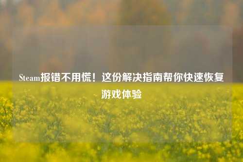 Steam报错不用慌！这份解决指南帮你快速恢复游戏体验