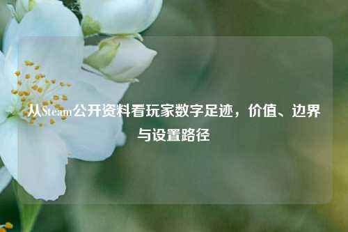 从Steam公开资料看玩家数字足迹，价值、边界与设置路径