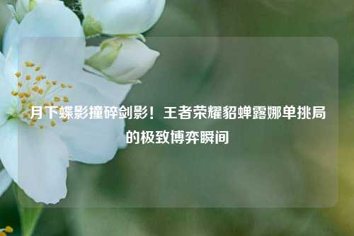 月下蝶影撞碎剑影!王者荣耀貂蝉露娜单挑局的极致博弈瞬间