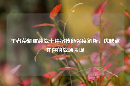 王者荣耀重装战士许褚技能强度解析,优缺点并存的战场表现