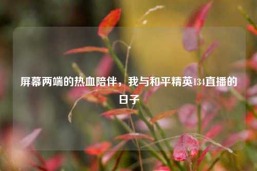 屏幕两端的热血陪伴,我与和平精英134直播的日子