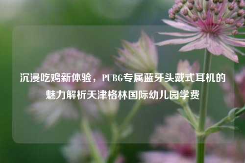 沉浸吃鸡新体验,PUBG专属蓝牙头戴式耳机的魅力解析天津格林国际幼儿园学费