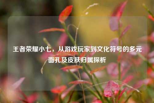 王者荣耀小七,从游戏玩家到文化符号的多元面孔及皮肤归属探析