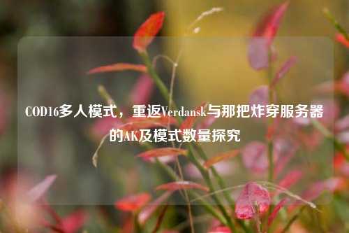 COD16多人模式，重返Verdansk与那把炸穿服务器的AK及模式数量探究