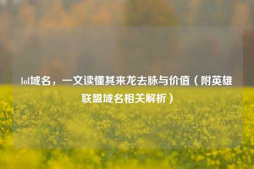 lol域名,一文读懂其来龙去脉与价值(附英雄联盟域名相关解析)