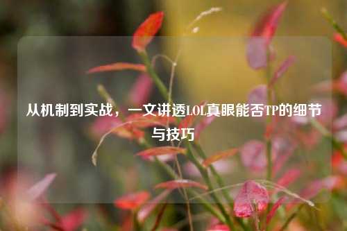 从机制到实战,一文讲透LOL真眼能否TP的细节与技巧
