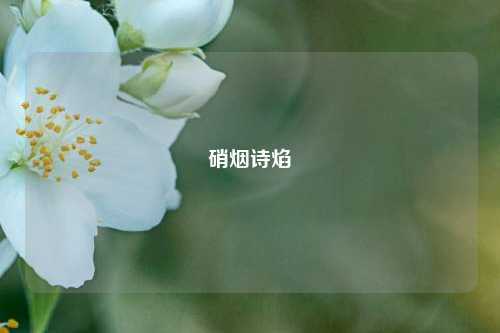 硝烟诗焰