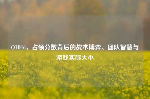 COD16,占领分数背后的战术博弈、团队智慧与游戏实际大小