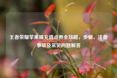 王者荣耀苹果端充值点券全攻略,步骤、注意事项及常见问题解答
