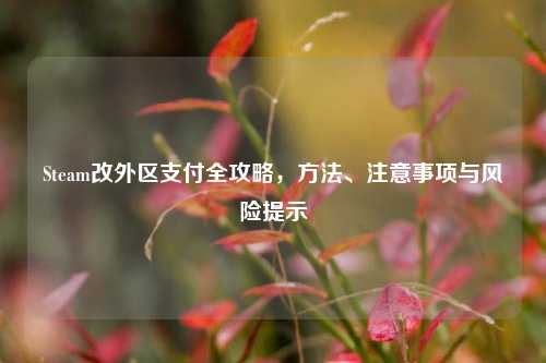 Steam改外区支付全攻略，方法、注意事项与风险提示