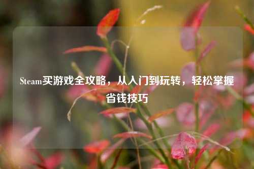 Steam买游戏全攻略,从入门到玩转,轻松掌握省钱技巧