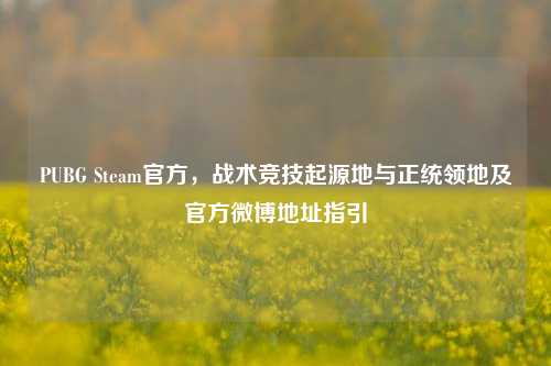 PUBG Steam官方,战术竞技起源地与正统领地及官方微博地址指引